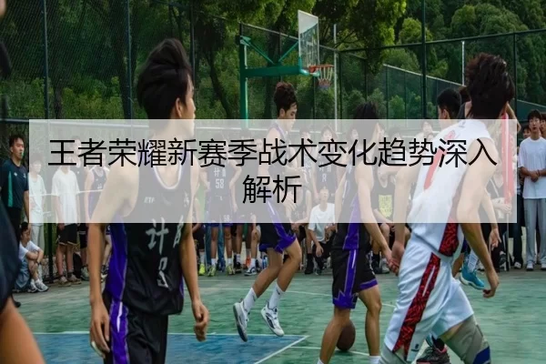 王者荣耀新赛季战术变化趋势深入解析